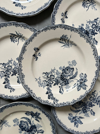 Fontanges Bleu Ondulé