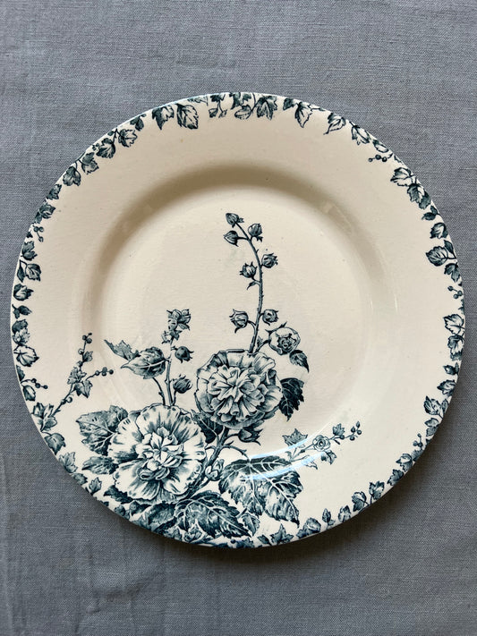 Rose Trémière