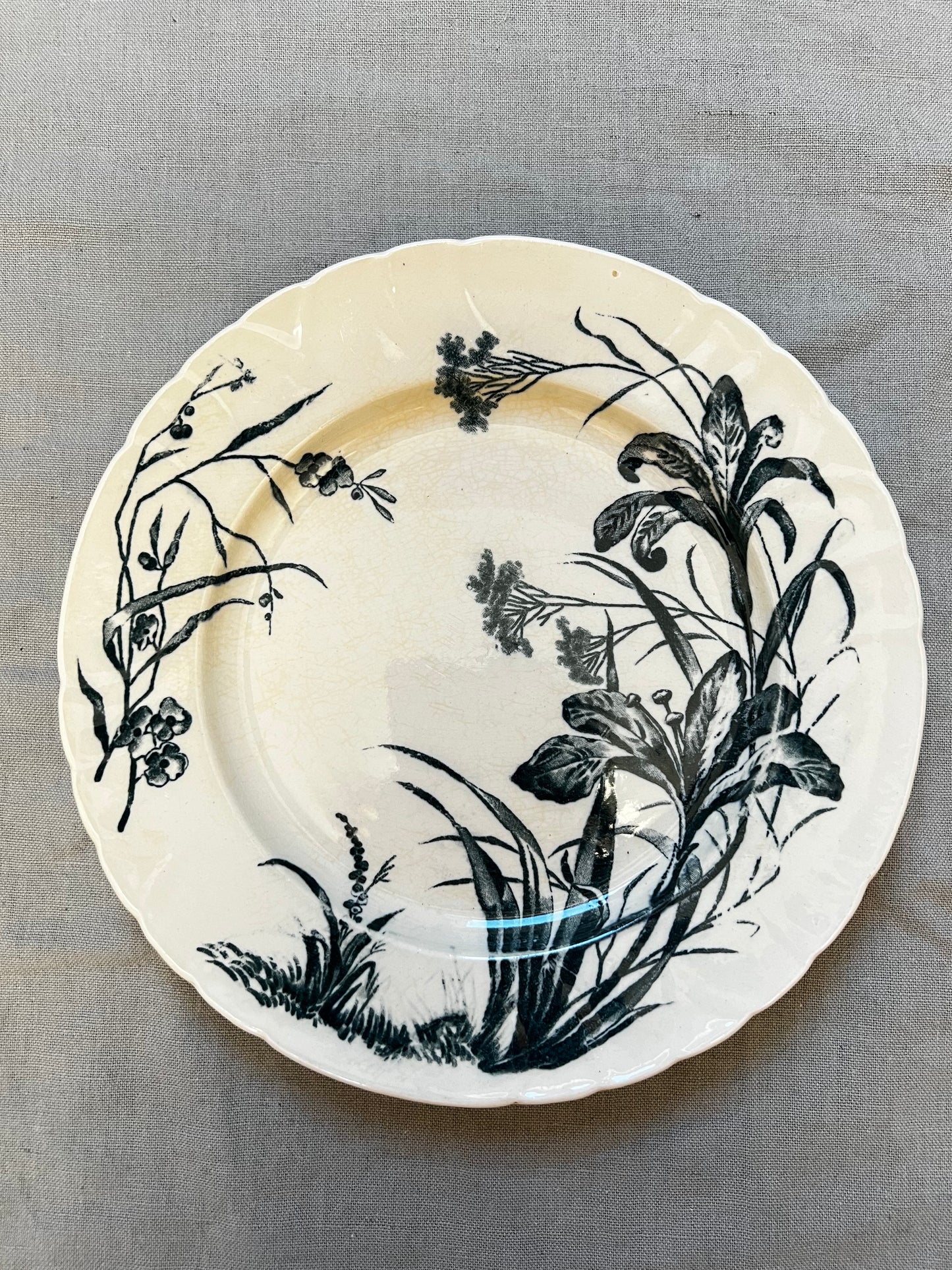 Flore (Jules Vieillard)