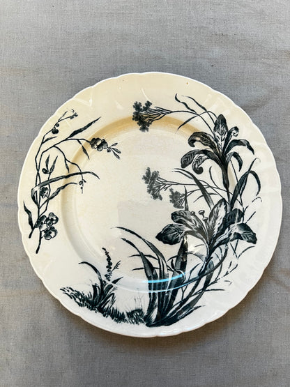 Flore (Jules Vieillard)