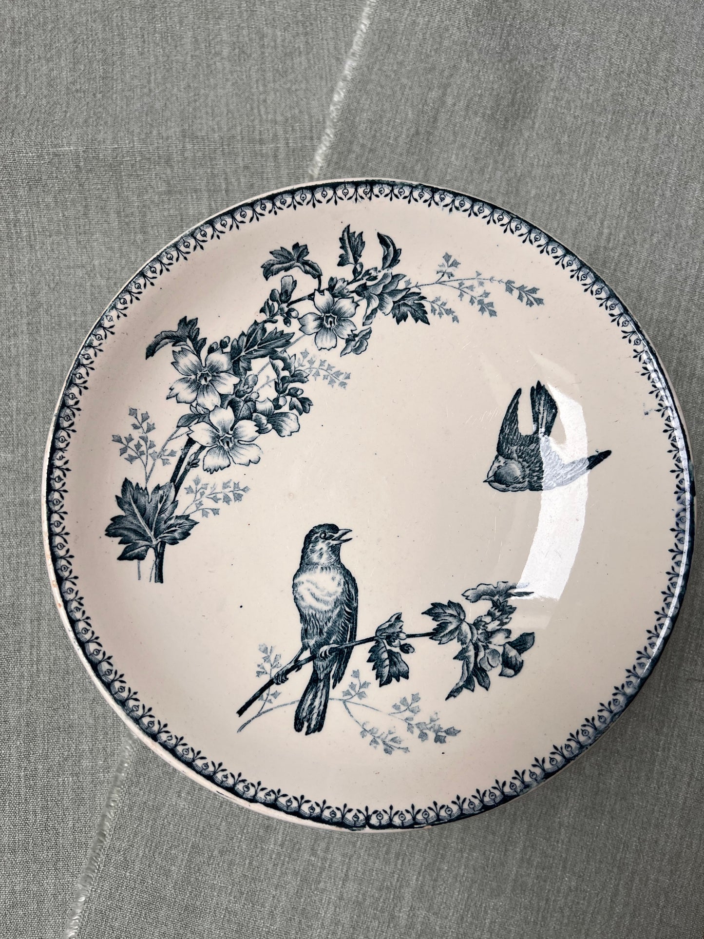 Mésange