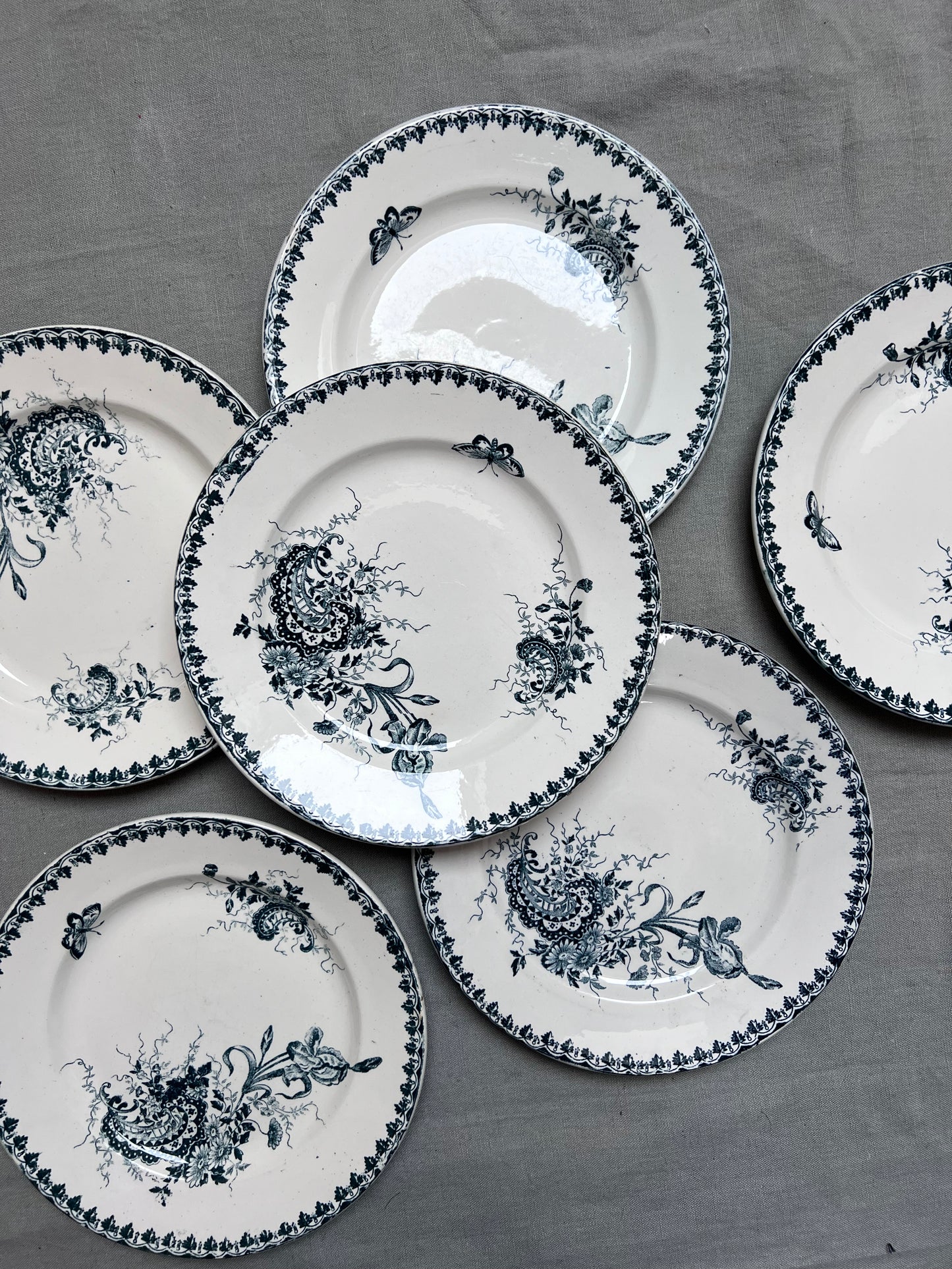 Collection Louis XV - Assiettes plates