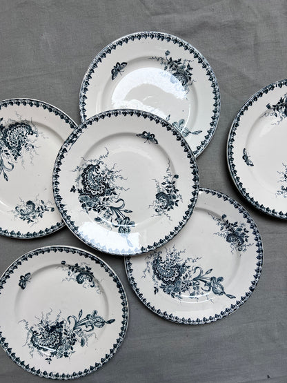 Collection Louis XV - Assiettes plates