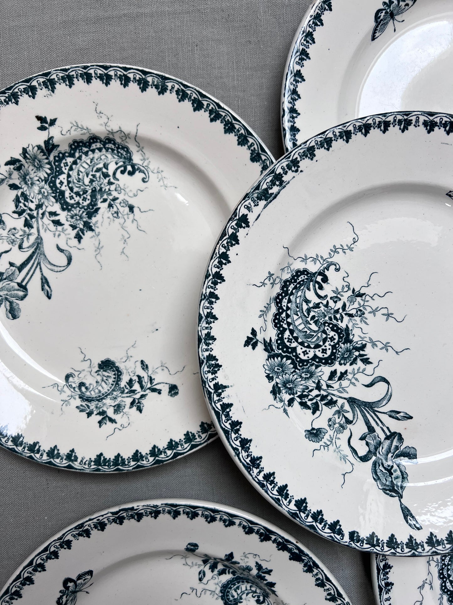 Collection Louis XV - Assiettes plates