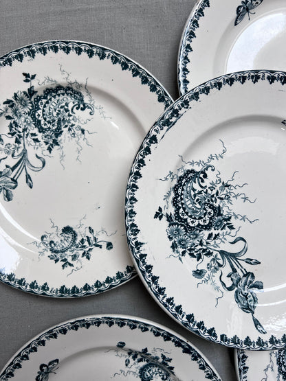 Collection Louis XV - Assiettes plates