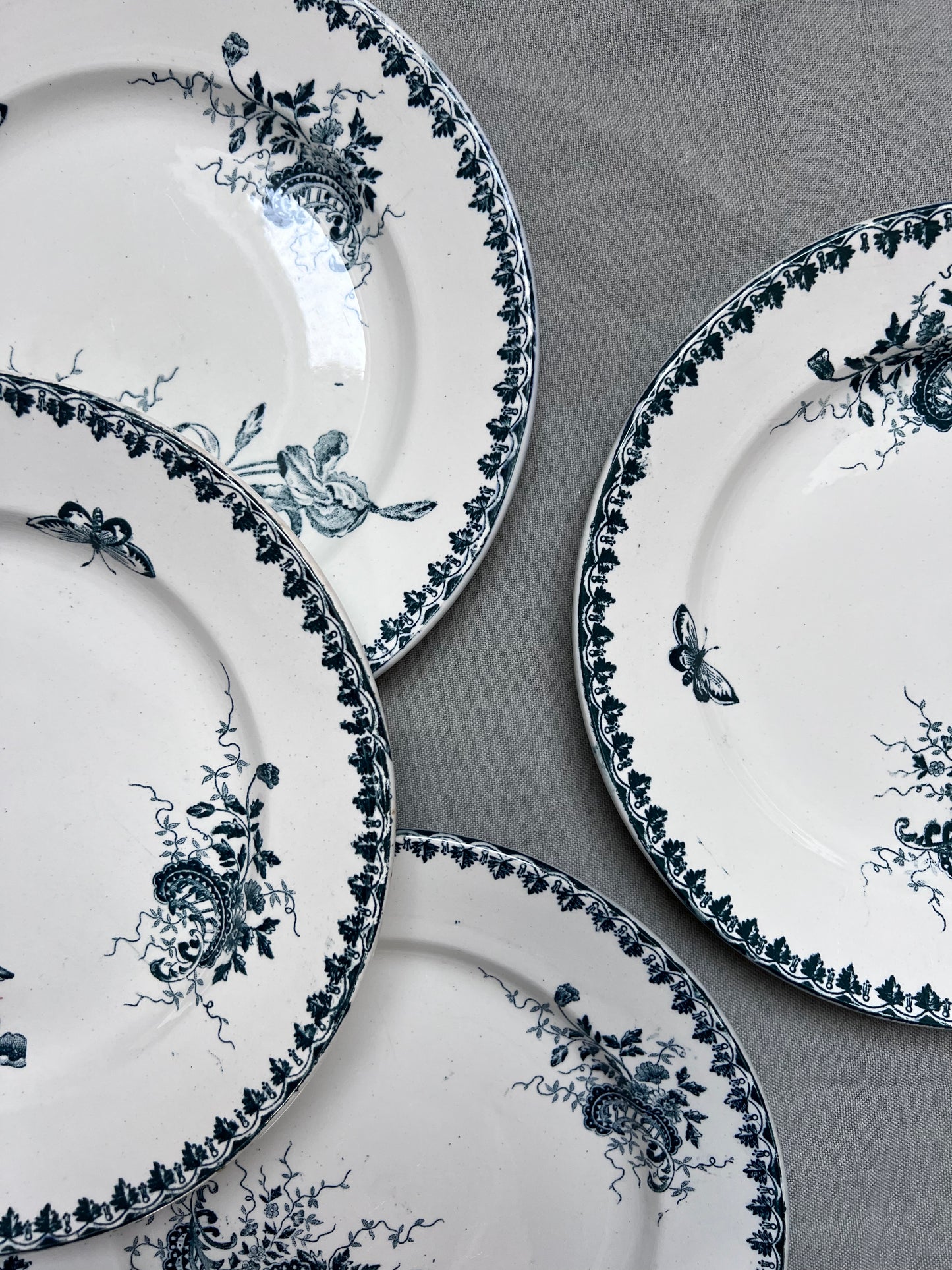 Collection Louis XV - Assiettes plates