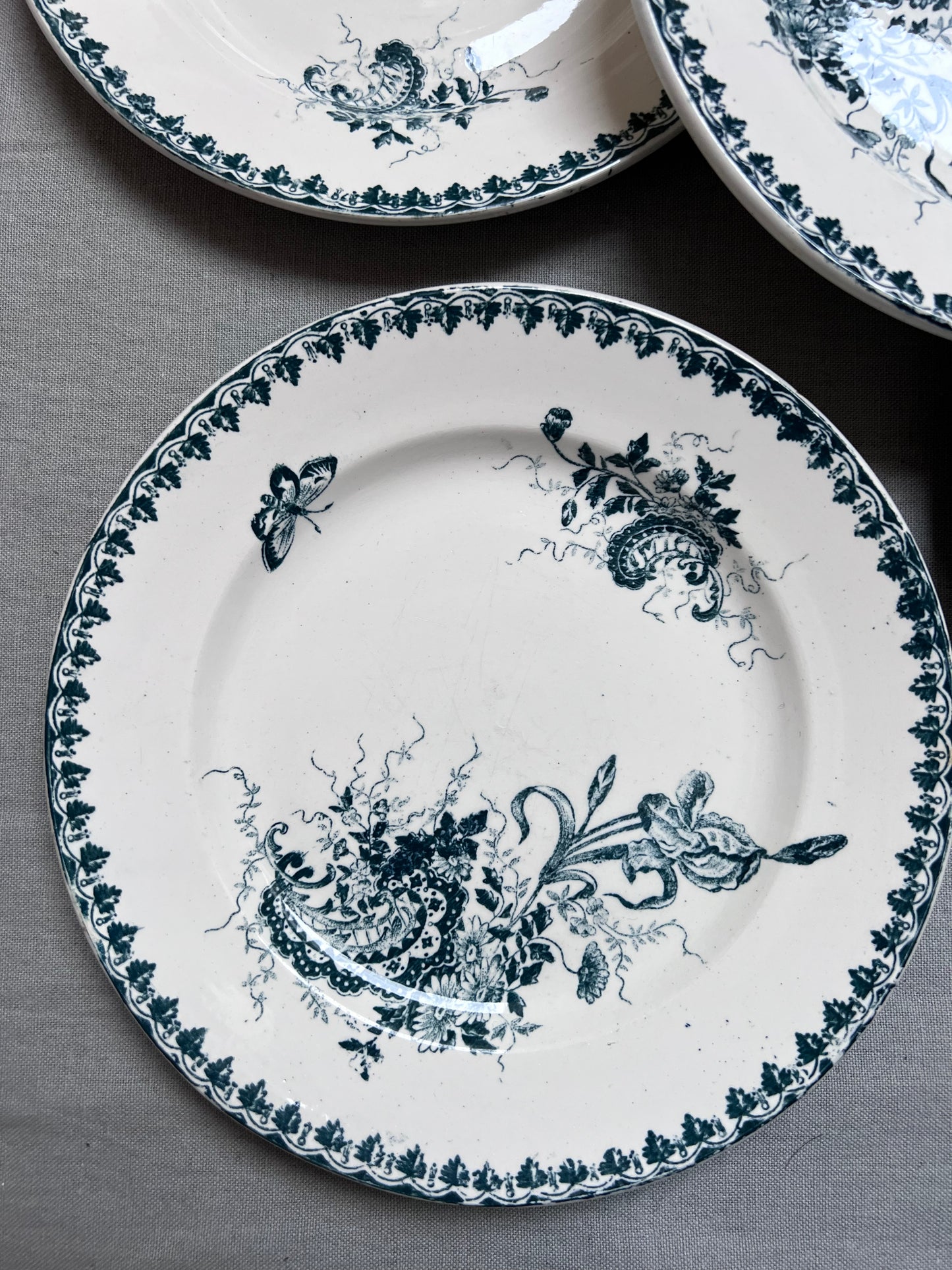 Collection Louis XV - Assiettes plates