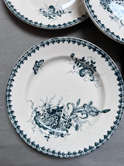 Collection Louis XV - Assiettes plates