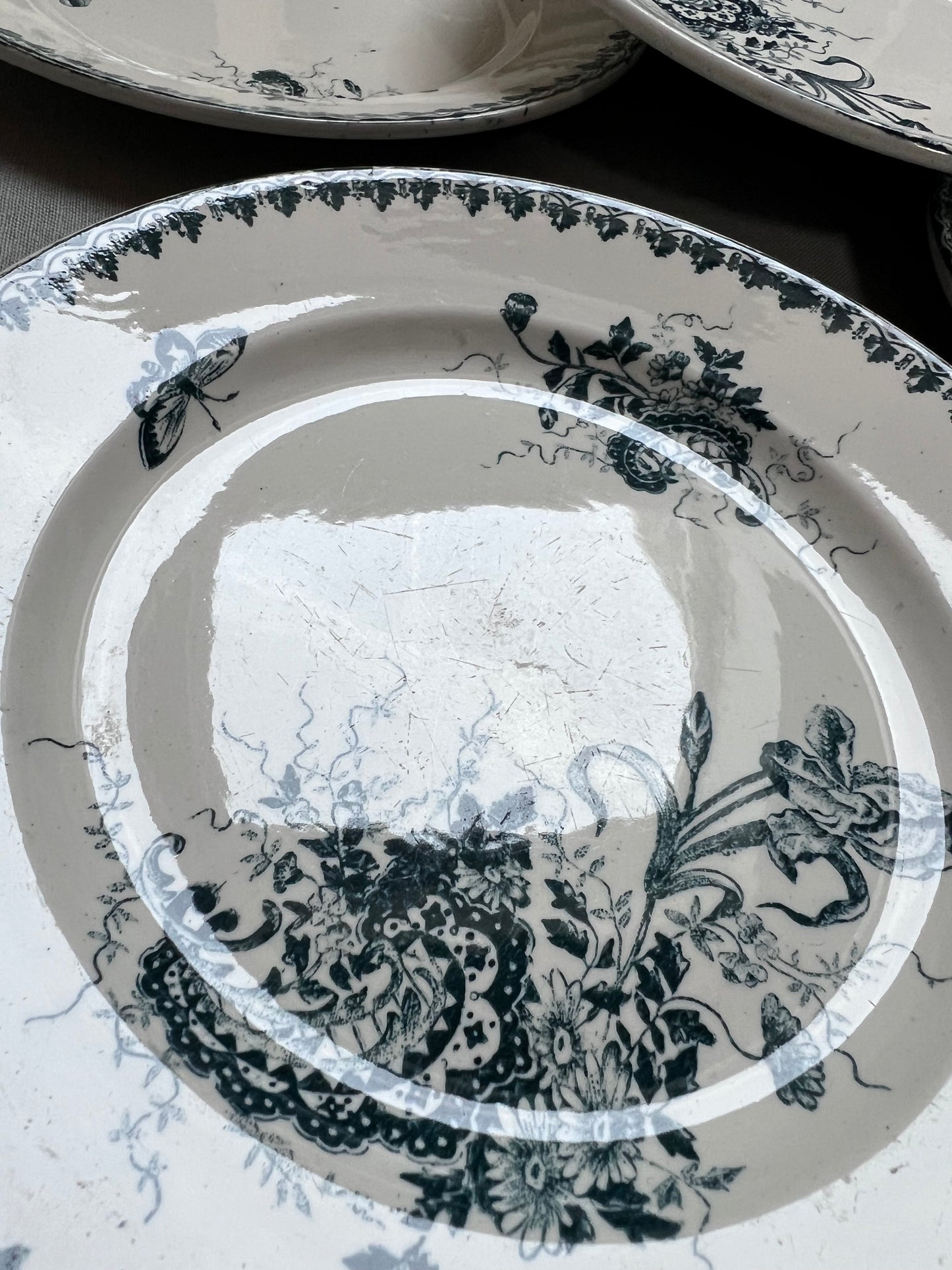 Collection Louis XV - Assiettes plates