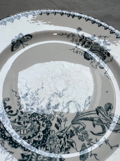Collection Louis XV - Assiettes plates