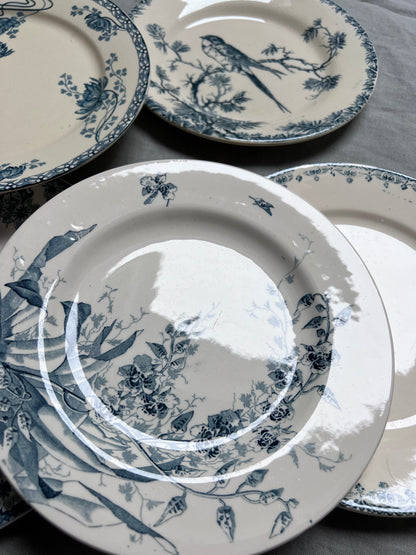 Collection Christine - assiettes plates