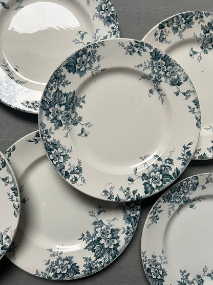 Marie-Louise