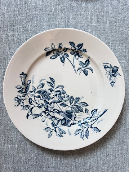 Jasmin