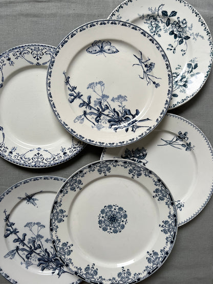 Collection Adeline - Assiettes plates