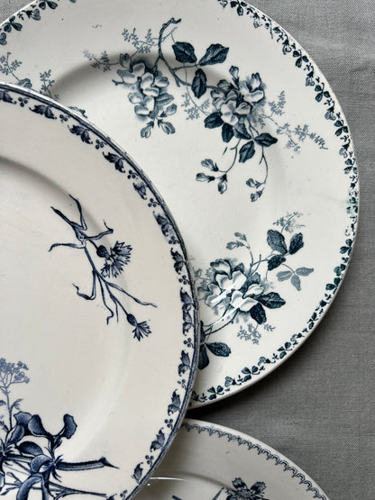 Collection Adeline - Assiettes plates