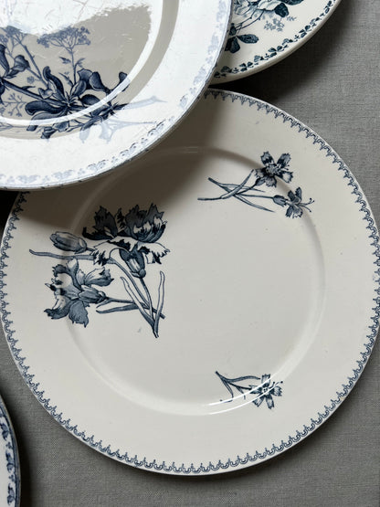 Collection Adeline - Assiettes plates