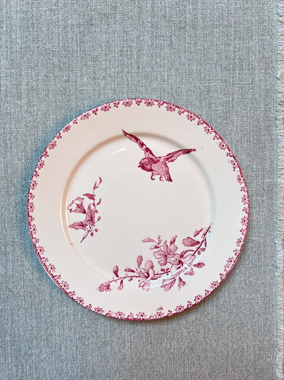 Favori - Dessert