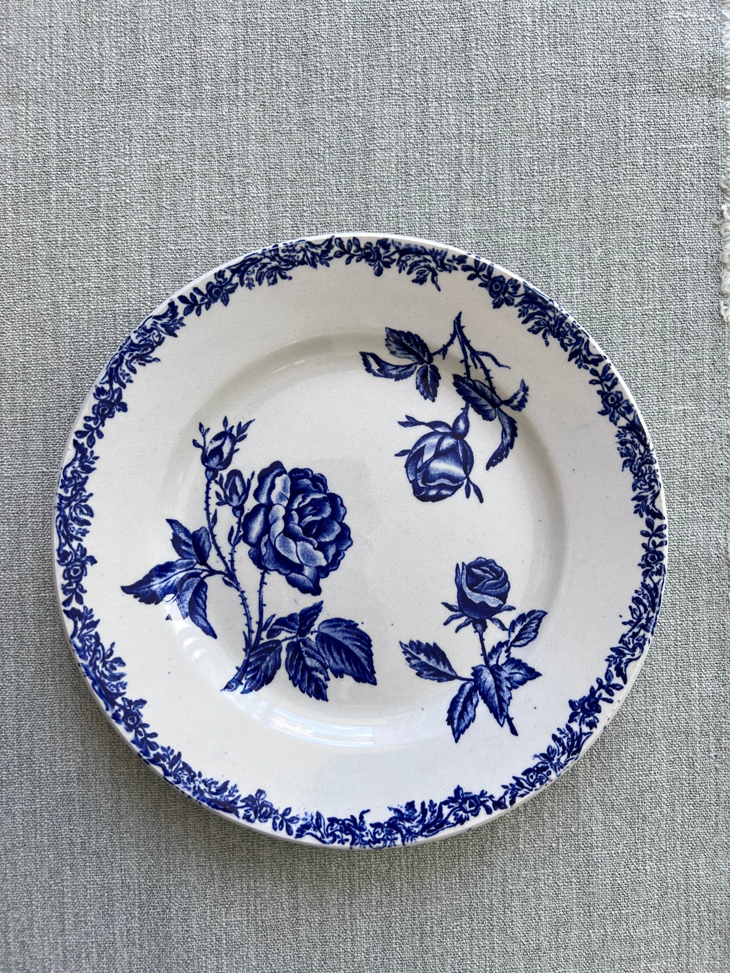 Fleurs bleues