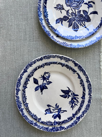 Fleurs bleues - Dessert