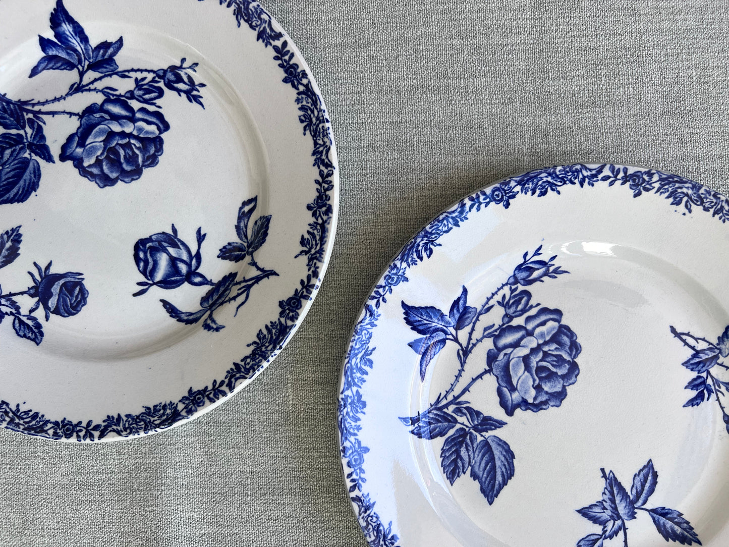 Fleurs bleues