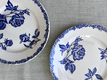 Fleurs bleues