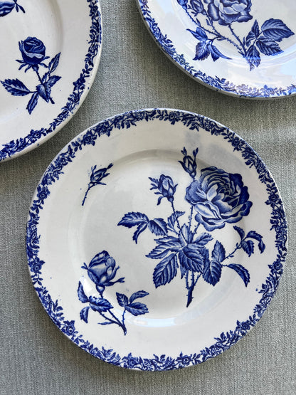 Fleurs bleues