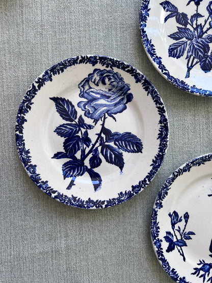 Fleurs bleues - Dessert