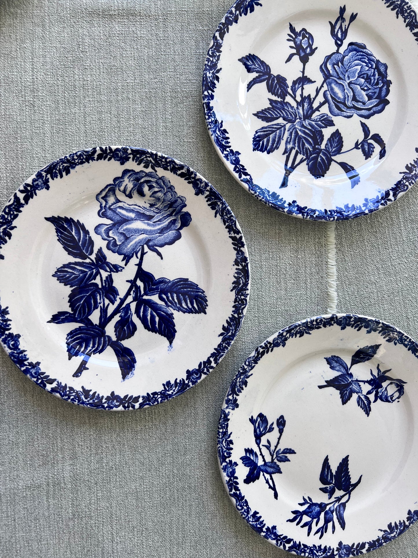 Fleurs bleues - Dessert