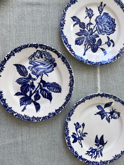 Fleurs bleues - Dessert