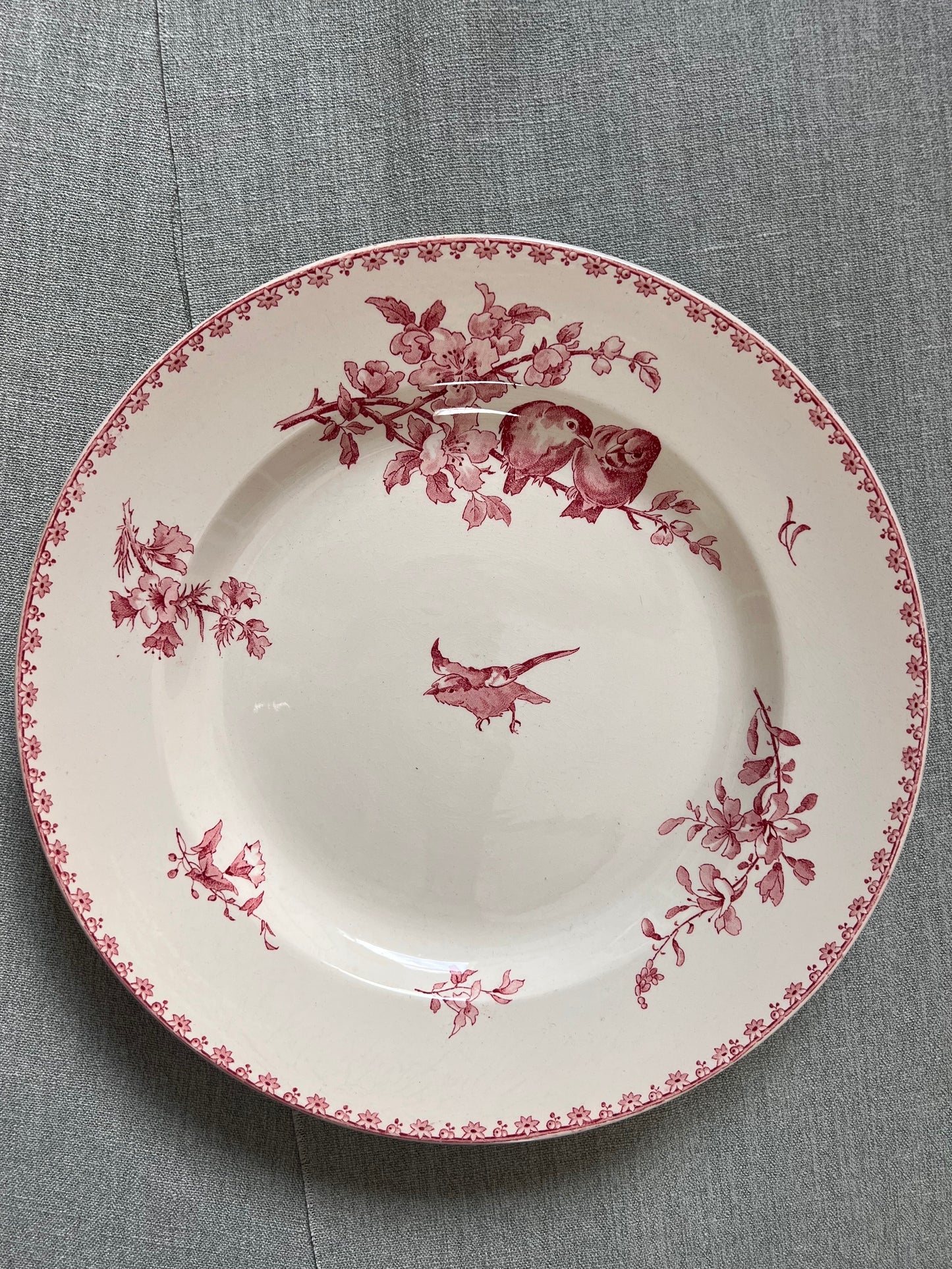 Favori - Plat rond