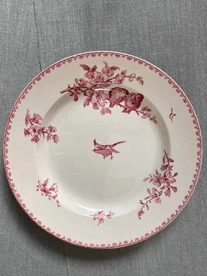 Favori - Plat rond
