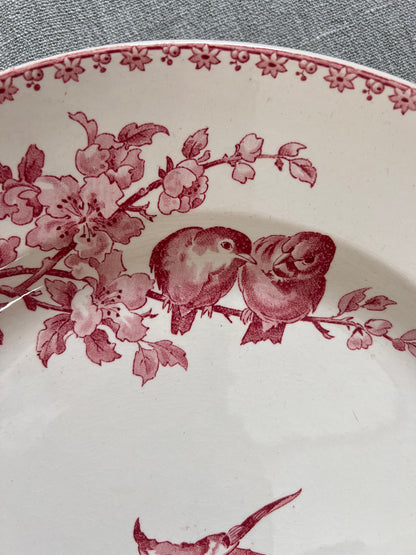 Favori - Plat rond