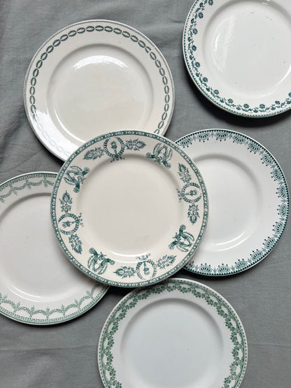 Collection Nadine - Assiettes plates