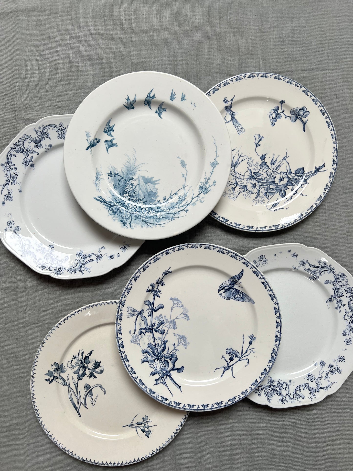 Collection Aline - Assiettes plates