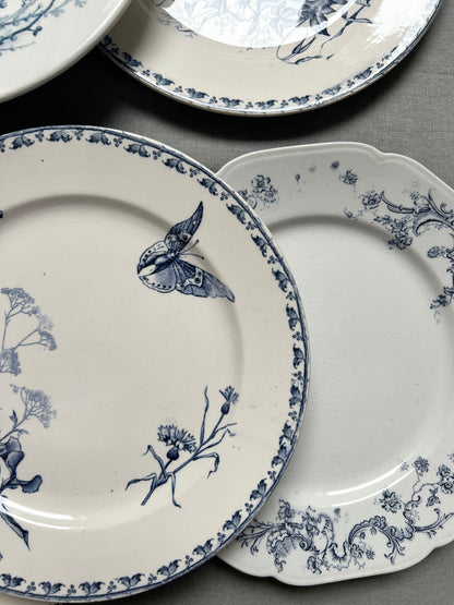 Collection Aline - Assiettes plates