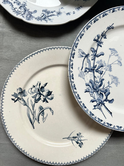 Collection Aline - Assiettes plates