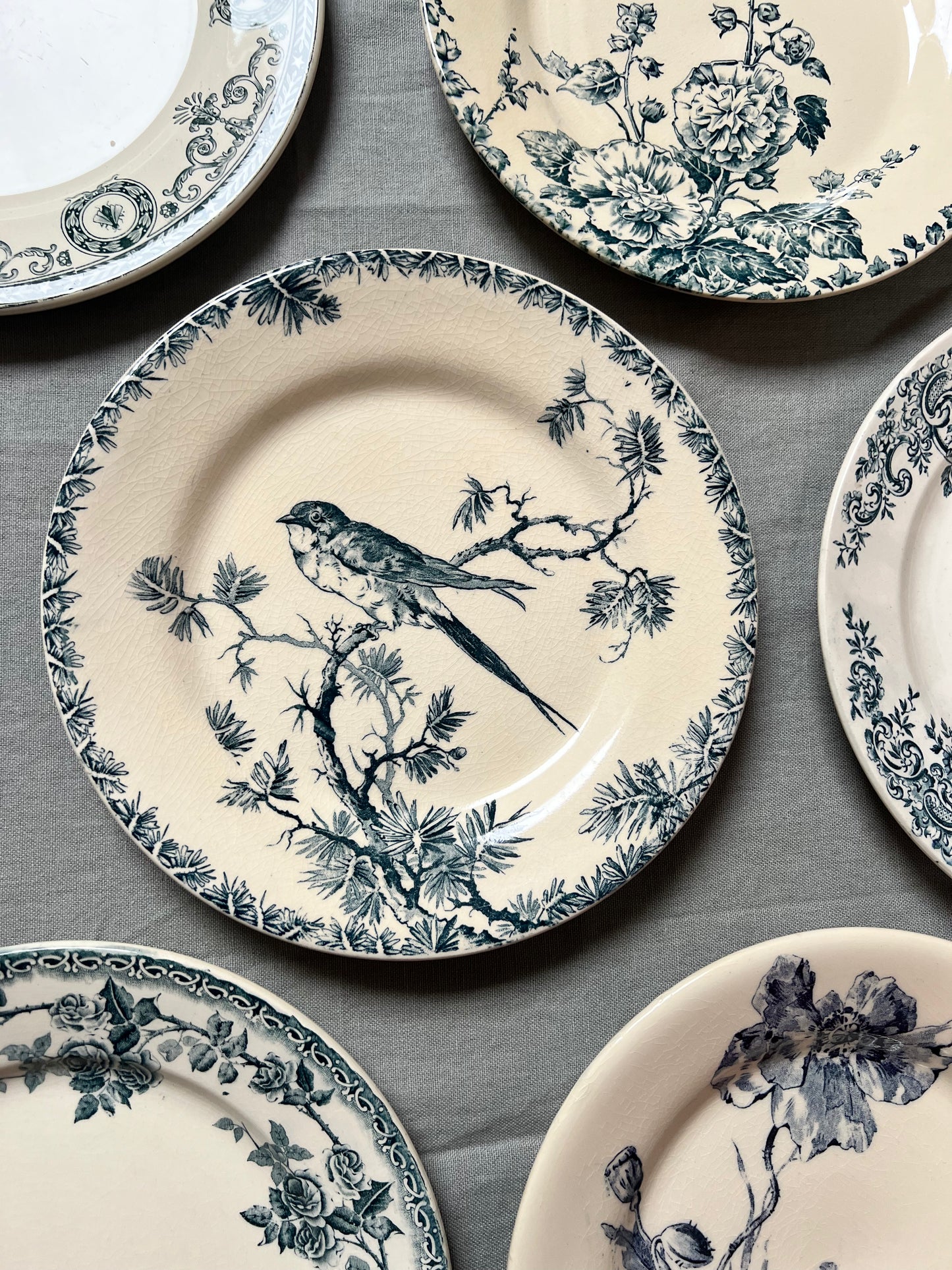 Collection Philippine - Assiettes plates