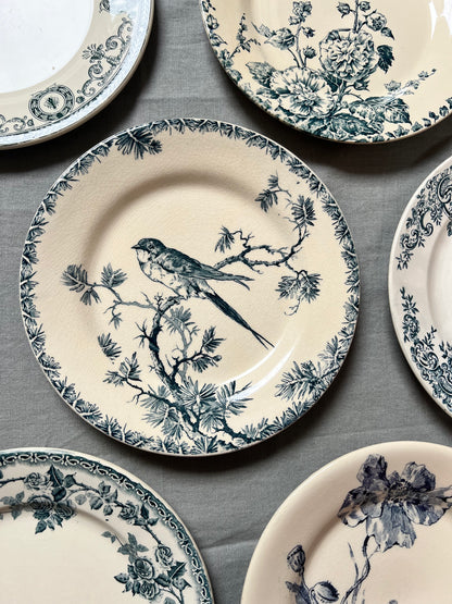 Collection Philippine - Assiettes plates