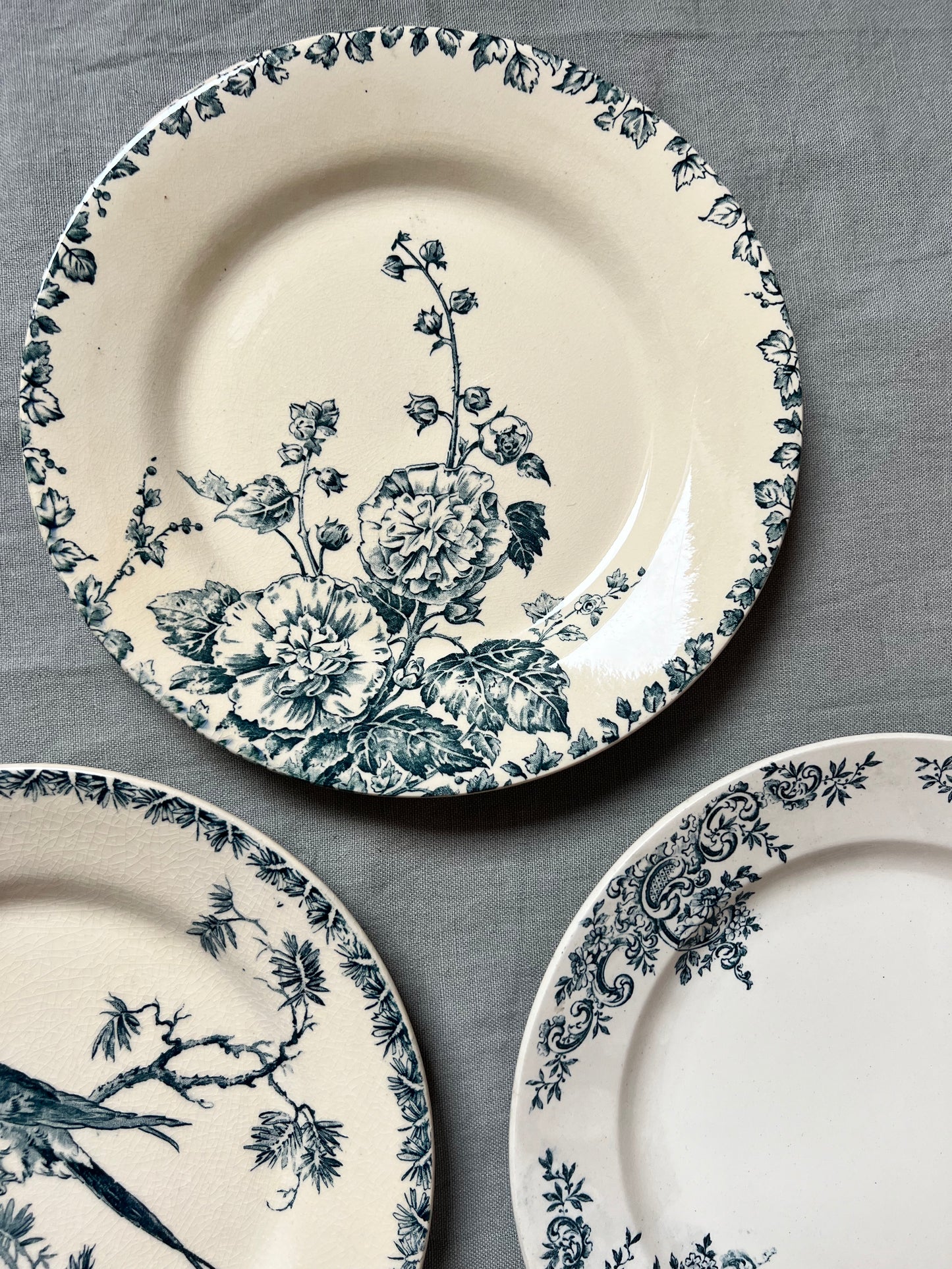 Collection Philippine - Assiettes plates