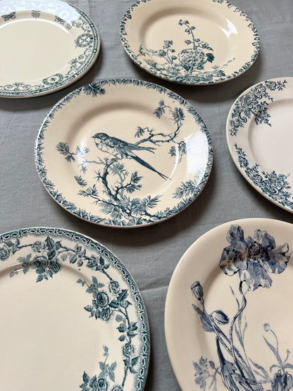 Collection Philippine - Assiettes plates