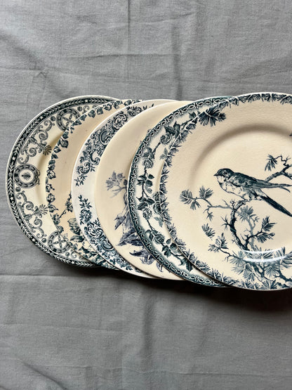 Collection Philippine - Assiettes plates